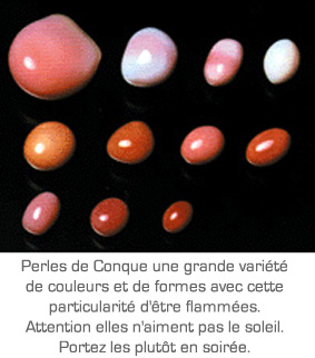 perles de conque et leurs couleurs