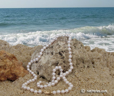 perles de culture blanche d'akoya